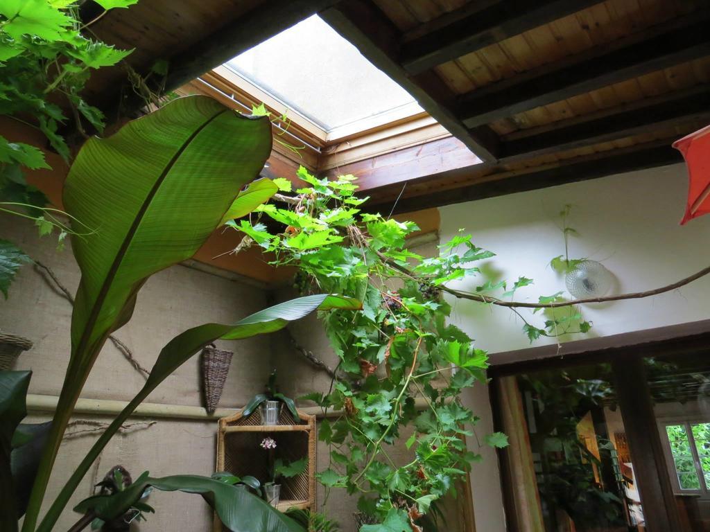 Auberge Du Moulin D'Audenfort Audrehem Extérieur photo